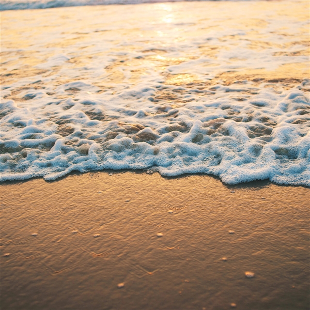 Beach gold sea iPad Pro wallpaper 