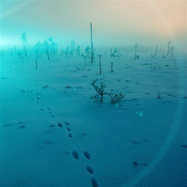 Snow walk winter blue footprints iPad Pro wallpaper 