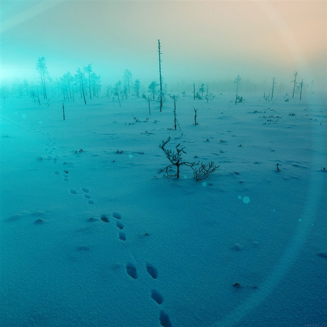 Snow walk winter blue footprints iPad wallpaper 