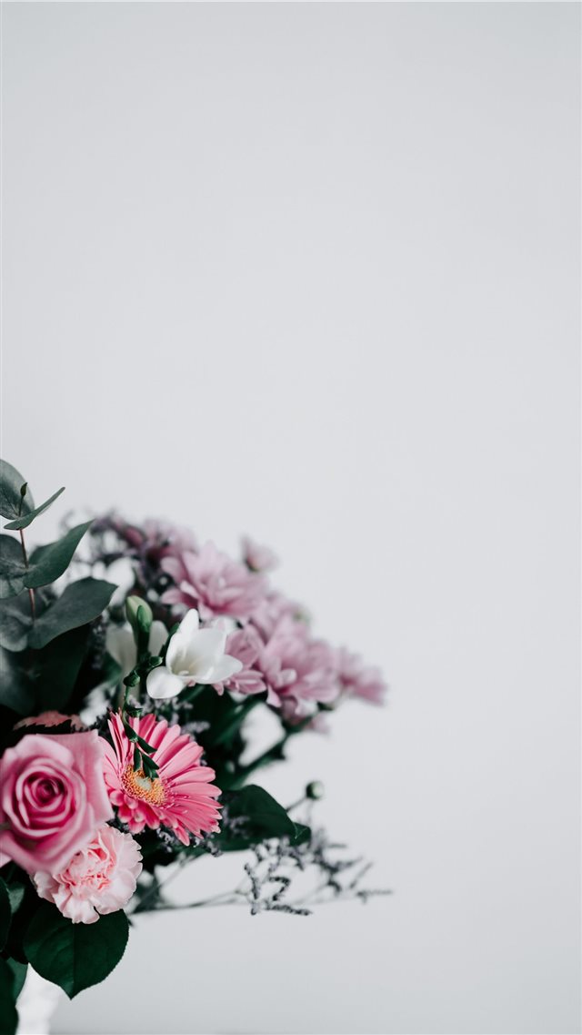 Flowers with blank space iPhone 8 wallpaper 