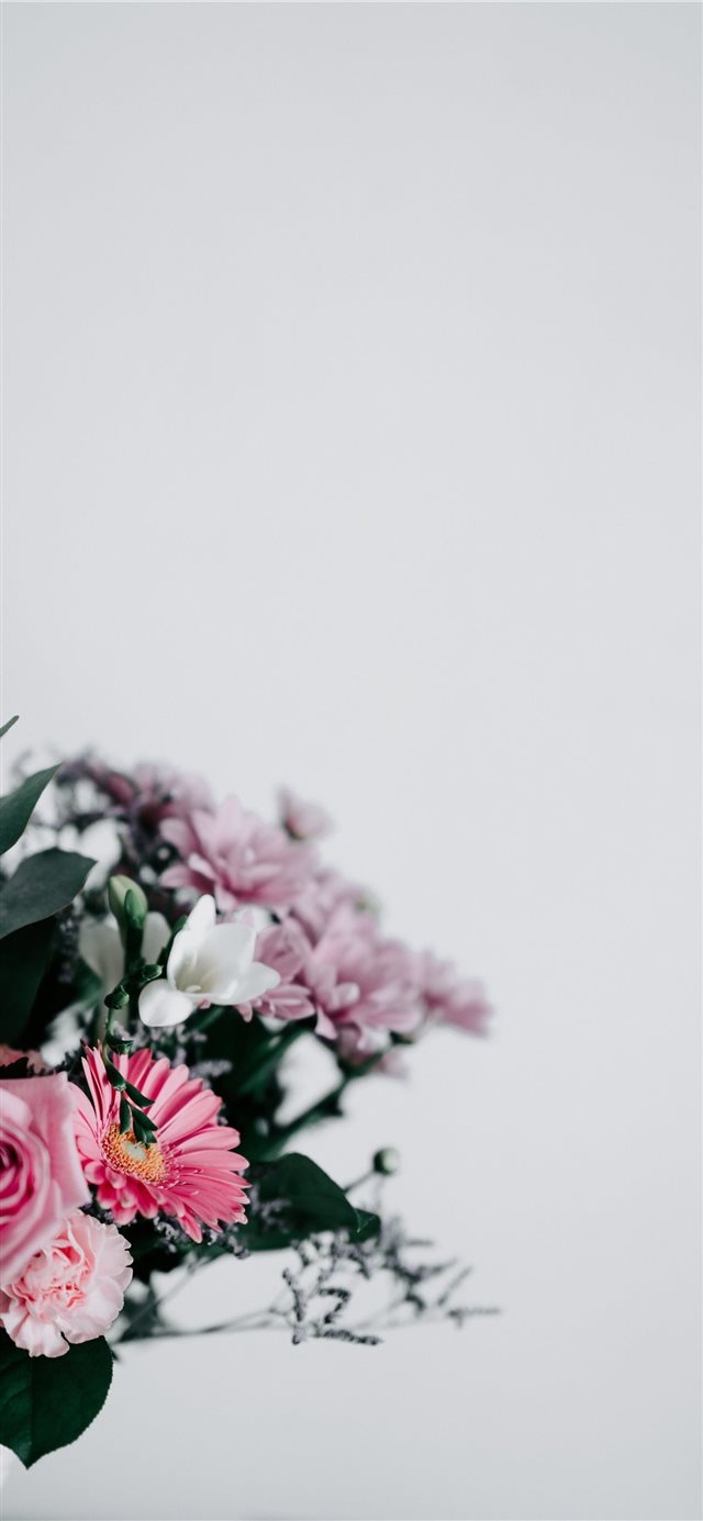 Flowers with blank space iPhone X wallpaper 