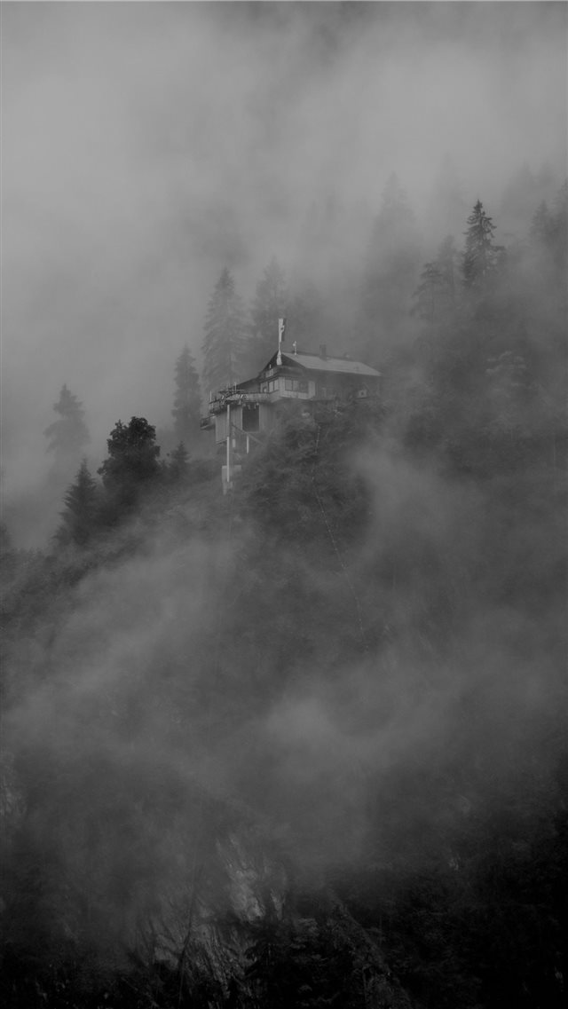 The fog of mystery iPhone 8 wallpaper 