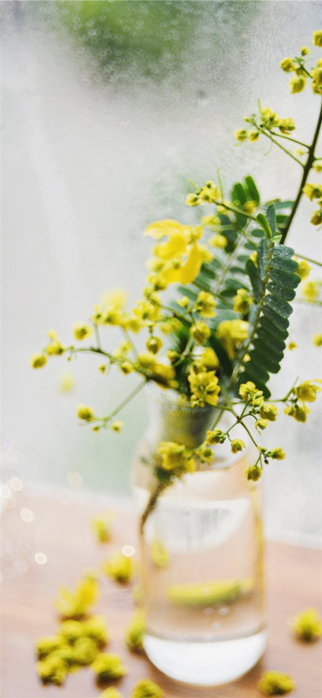 Still life with yellow wild flowers in a vase iPhone X wallpaper 