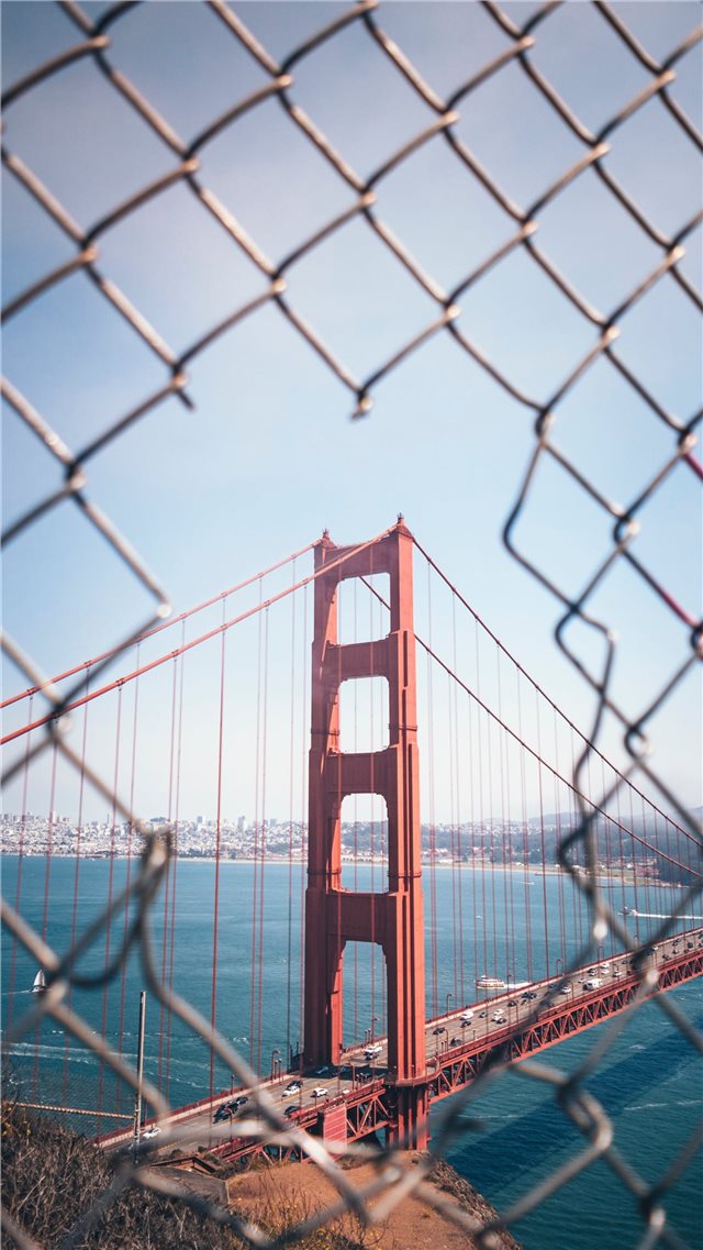 Through the Fence iPhone SE wallpaper 