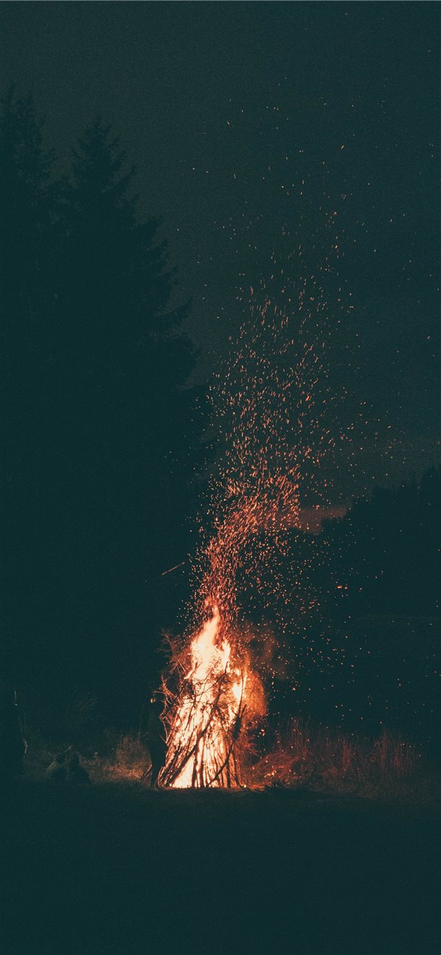 Fire is silence iPhone X wallpaper 