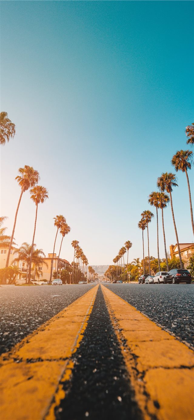 Follow the Yellow Palmed Road iPhone X wallpaper 