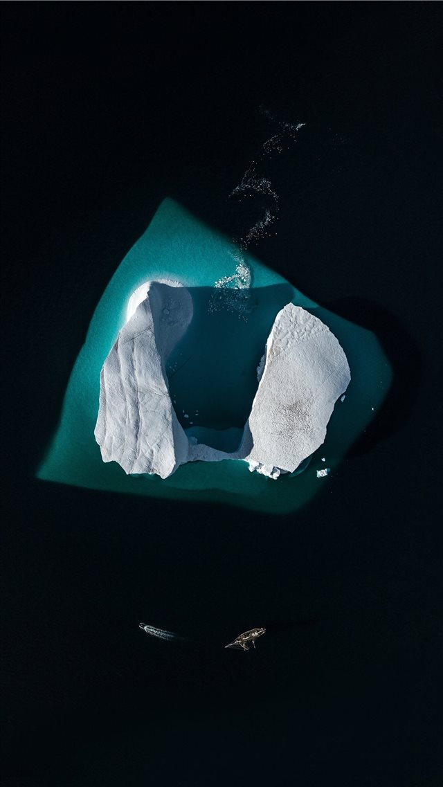 Iceberg in the Arctic  from above iPhone 8 wallpaper 