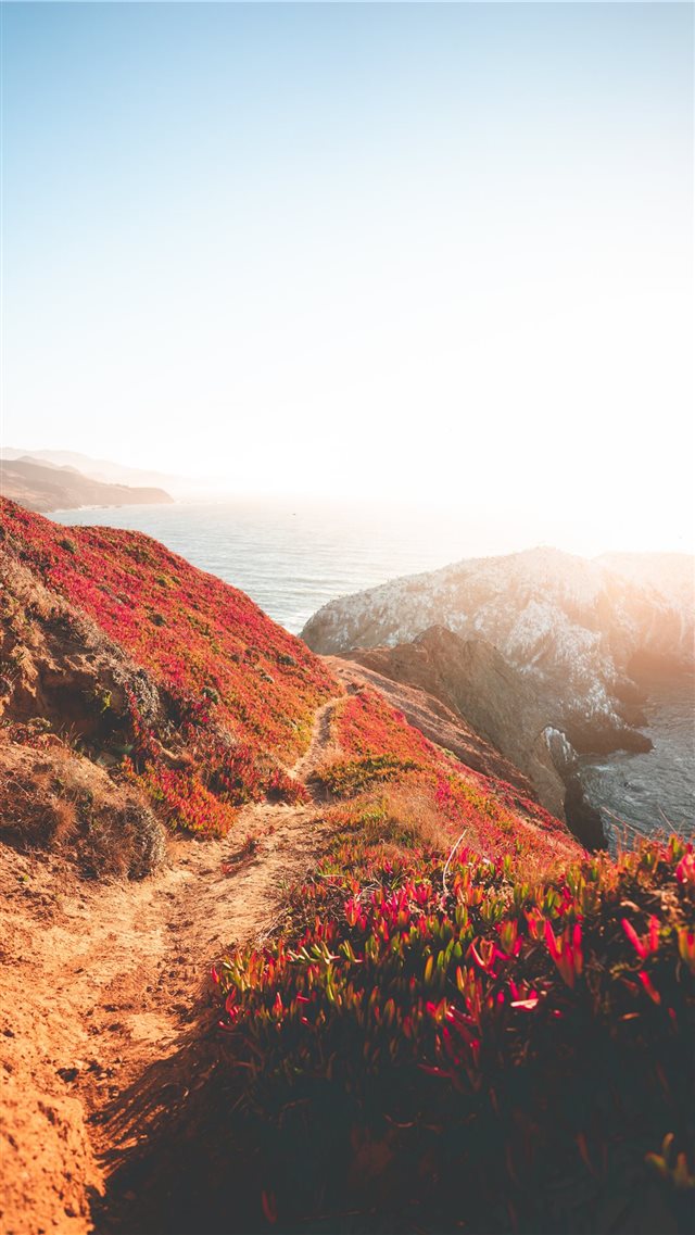 Path to the Point iPhone 8 wallpaper 
