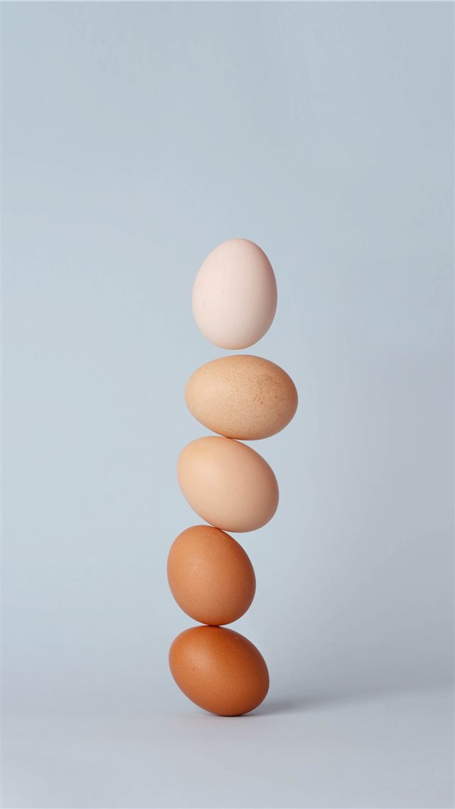 egg iPhone 8 wallpaper 