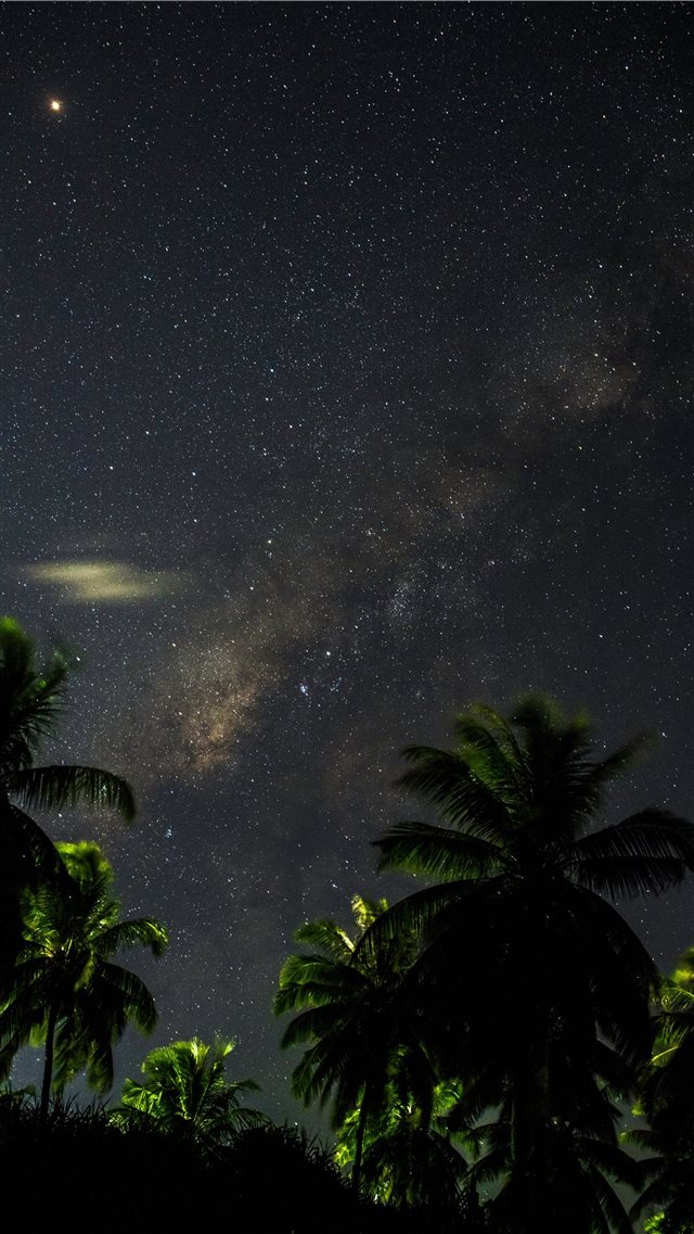 Loneliness isn’t loneliness when you can see star... iPhone 8 wallpaper 