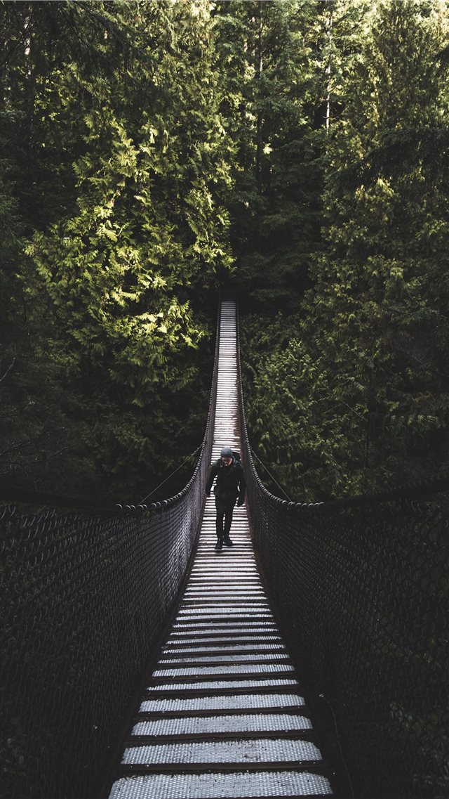 Lynn Canyon Suspension Bridge  North Vancouver  Ca... iPhone SE wallpaper 