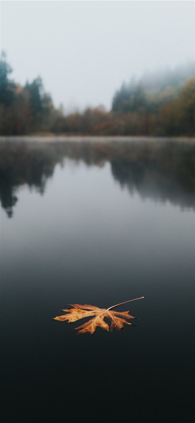 Floating iPhone X wallpaper 