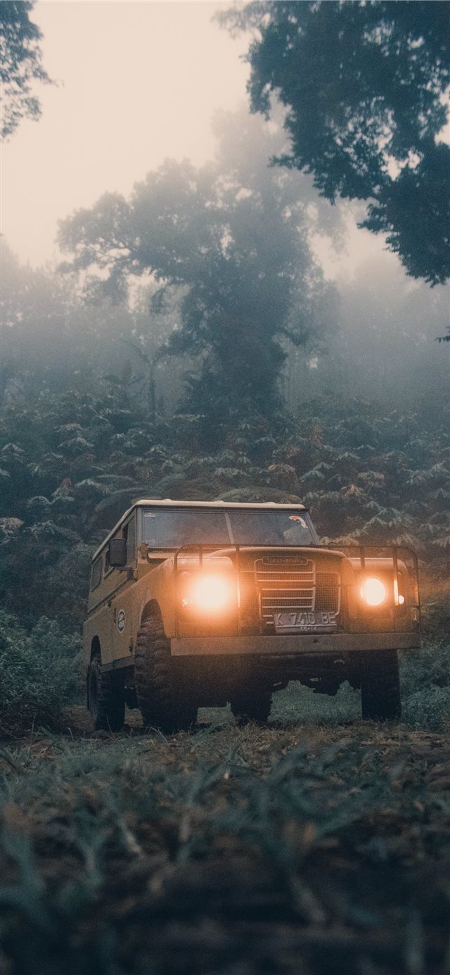 Lost in forest iPhone X wallpaper 
