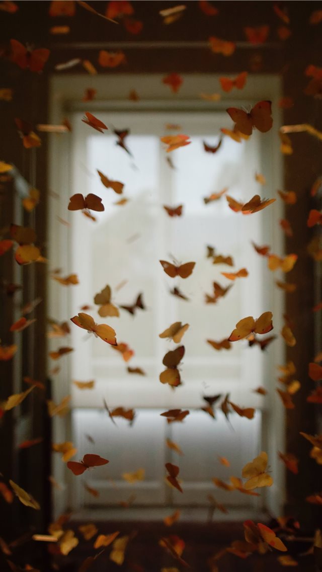 Butterfly room iPhone 8 wallpaper 