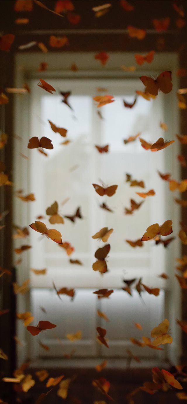 Butterfly room iPhone X wallpaper 