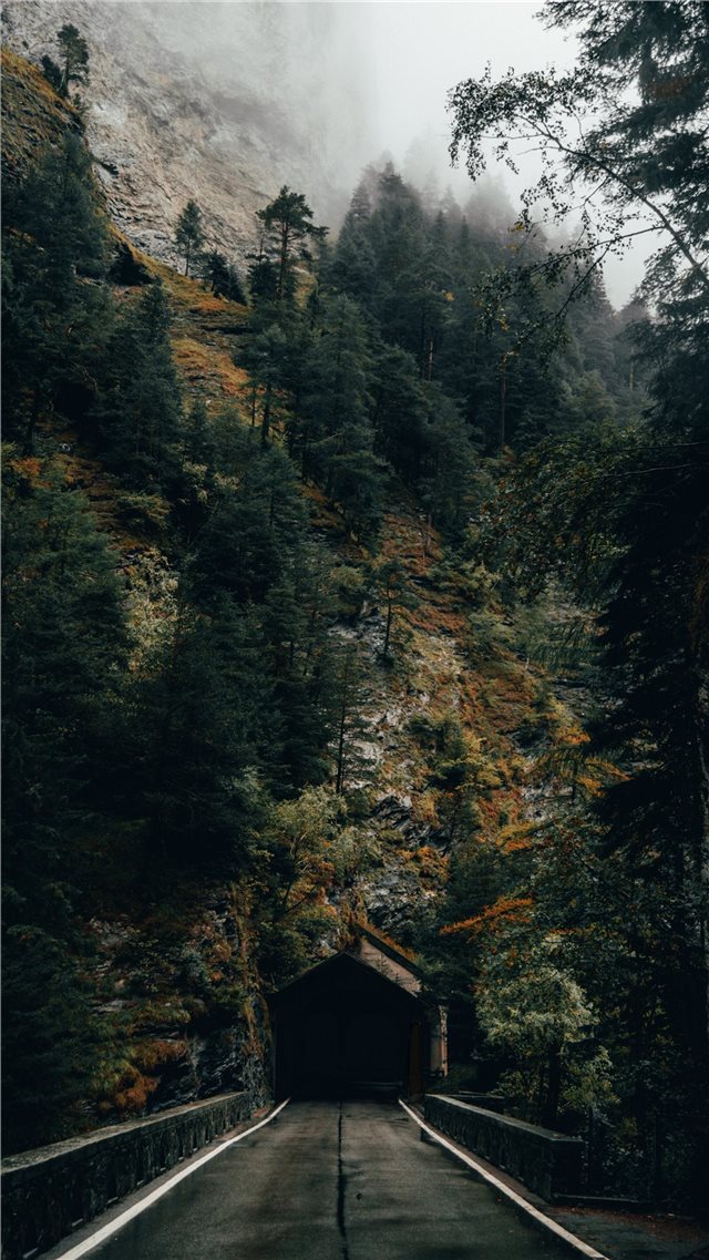 Dark tunnel entrance in front of autumn forest iPhone 8 wallpaper 