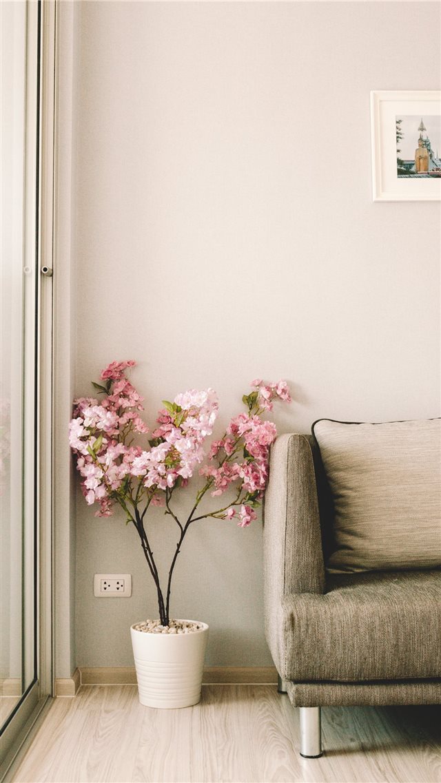 pink flowers beside sofa iPhone 8 wallpaper 