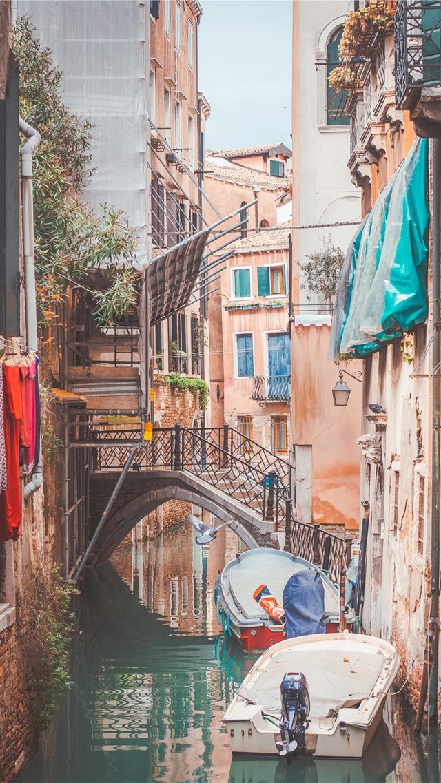 Venezia (Venice)  Italy iPhone 8 wallpaper 