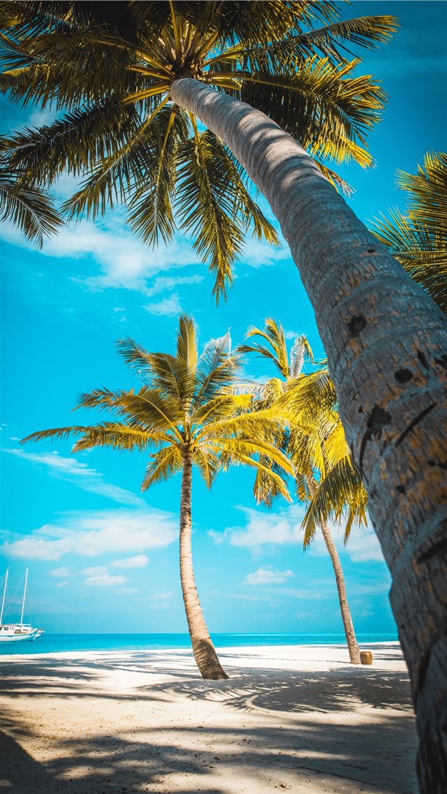 palm trees at the shore near boat during day iPhone 8 wallpaper 