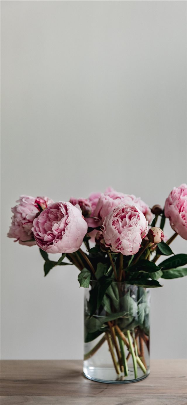 This simple image of a bunch of peonies in a vase ... iPhone X wallpaper 