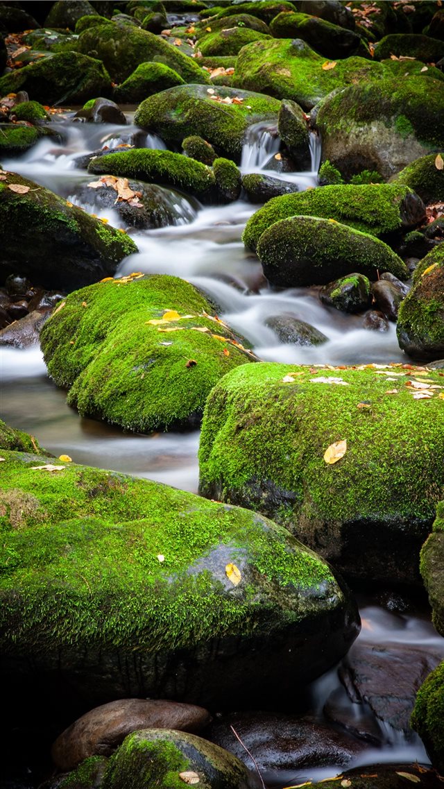 A small cascade over moss covered rocks in Great S... iPhone SE wallpaper 