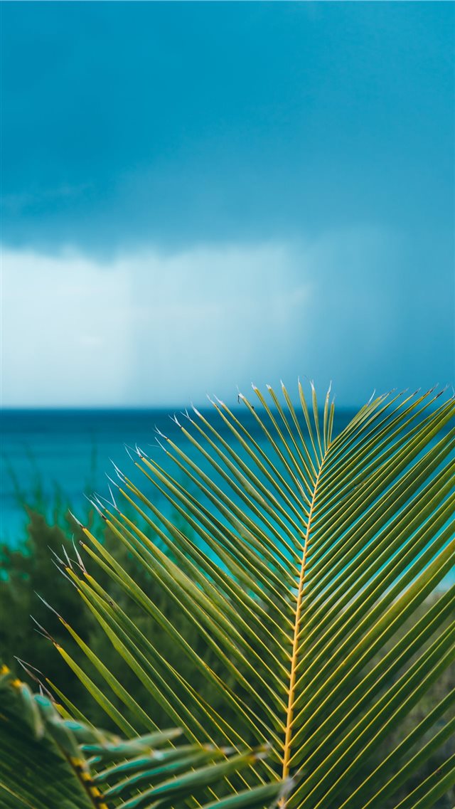 Eleuthera  Bahamas iPhone 8 wallpaper 