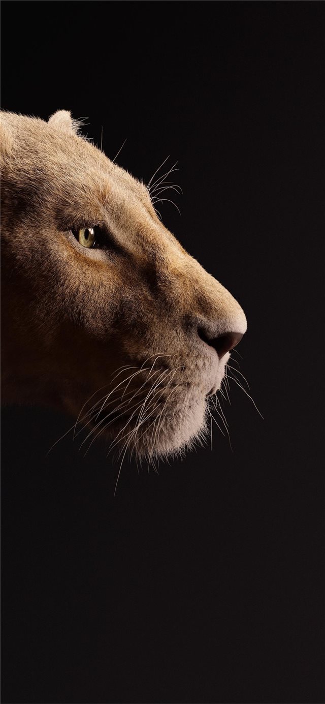 beyonce as nala the lion king 2019 5k iPhone X wallpaper 
