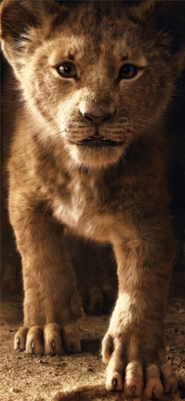 the lion king simba 2019 4k iPhone X wallpaper 