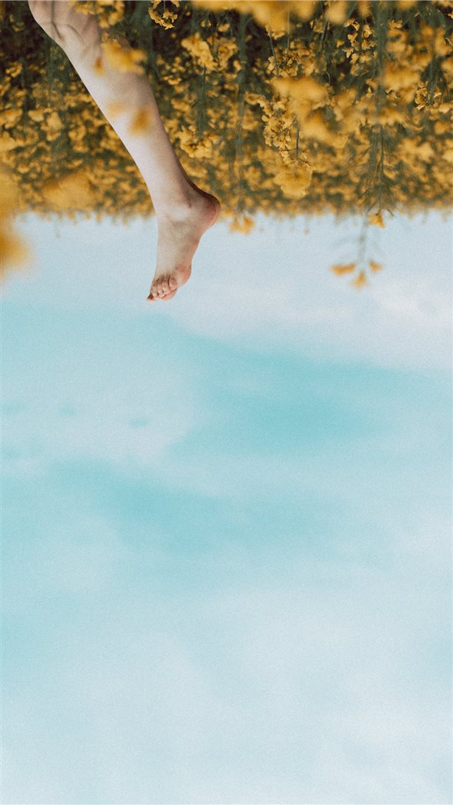 person's foot in a yellow flower field during dayt... iPhone SE wallpaper 