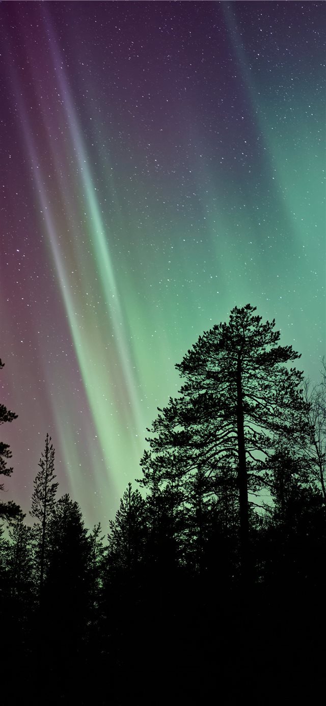 silhouette photo of aurora borealis iPhone X wallpaper 