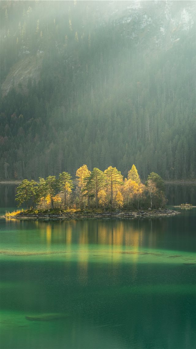 trees surrounded by body water during daytime iPhone 8 wallpaper 