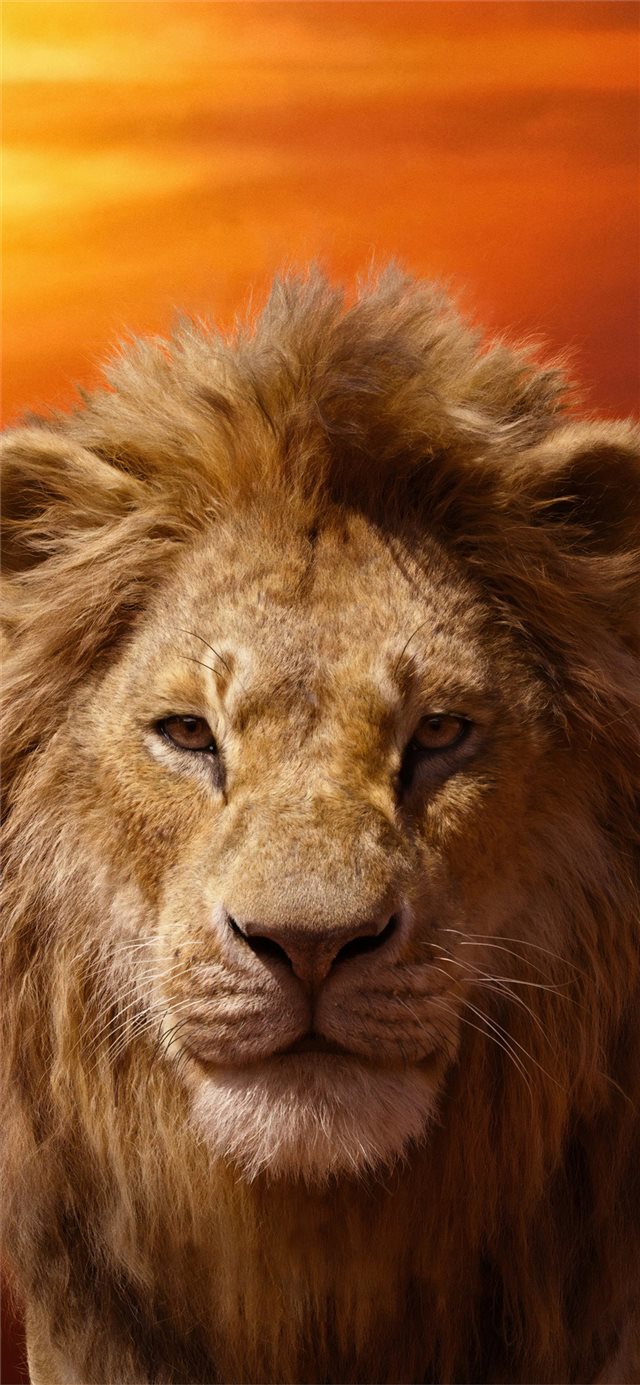 donald glover as simba the lion king 2019 4k iPhone X wallpaper 