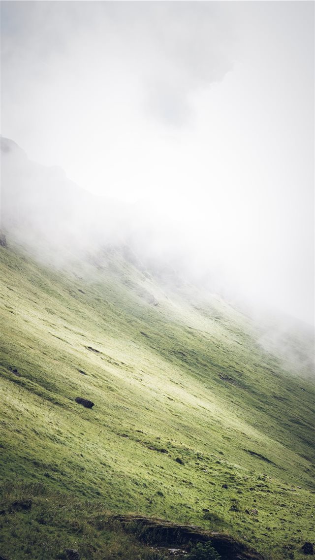 grass covered slope during foggy weather iPhone SE wallpaper 