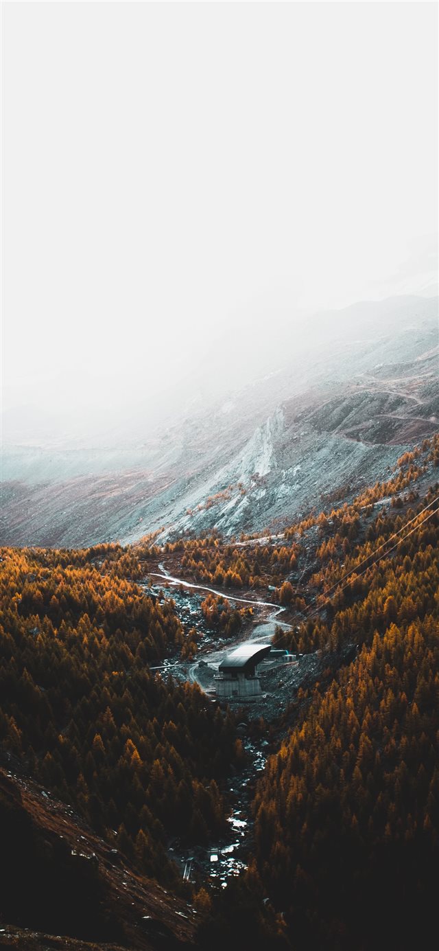 aerial photography of brown trees and mountains un... iPhone X wallpaper 