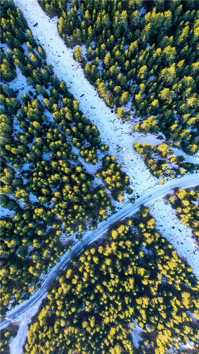 aerial photography of green trees surrounding road... iPhone 8 wallpaper 