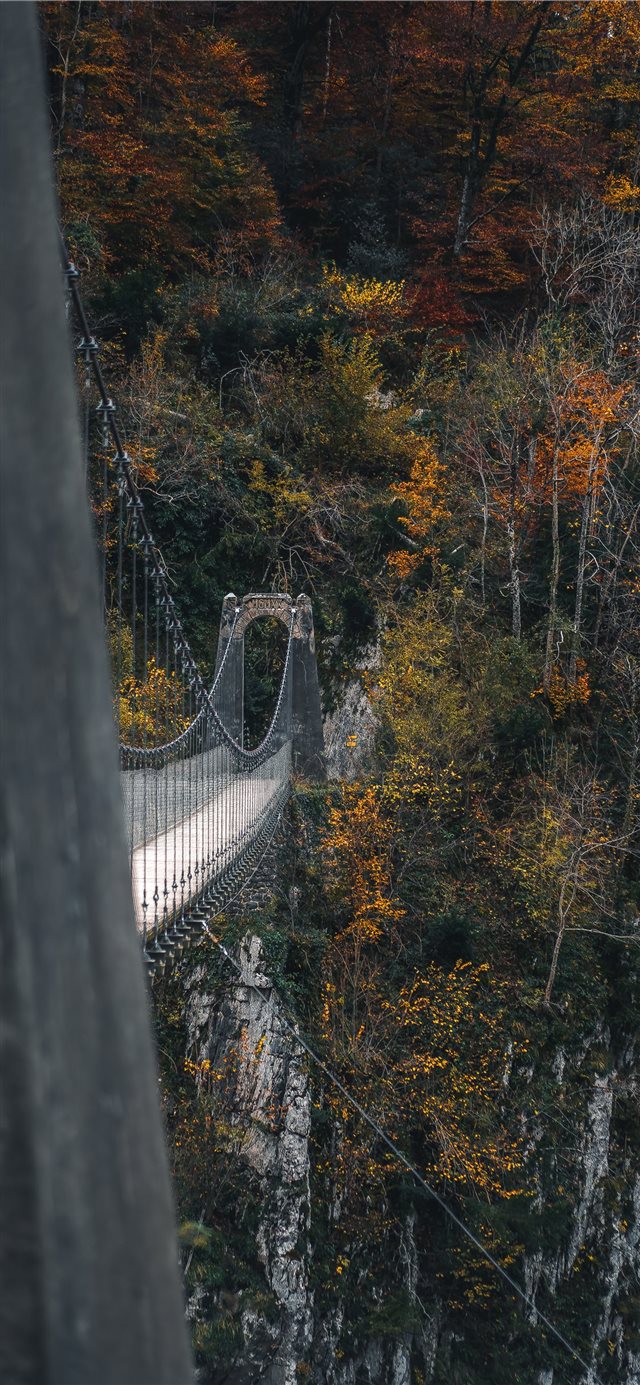 bridge near trees during daytime iPhone X wallpaper 