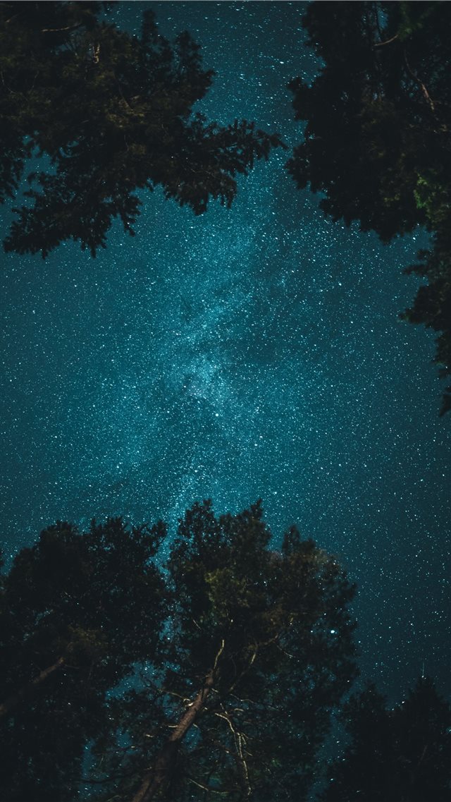 starry night iPhone 8 wallpaper 