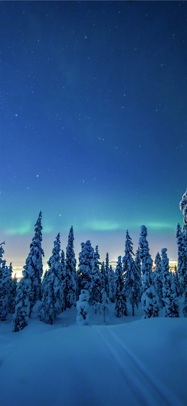 trees covered by white snow during daytime iPhone X wallpaper 