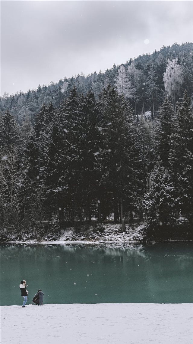 two men on edge of body of water facing pine trees... iPhone 8 wallpaper 