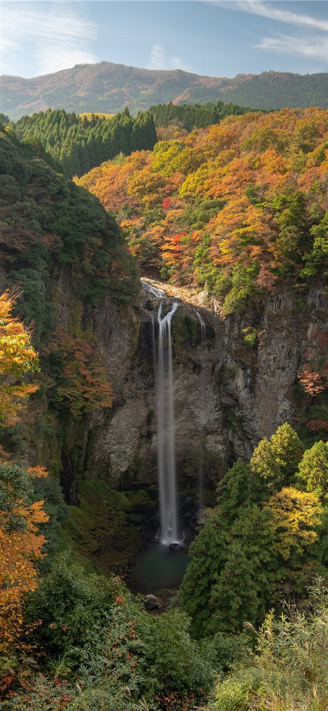 waterfall view surrounded by trees iPhone X wallpaper 