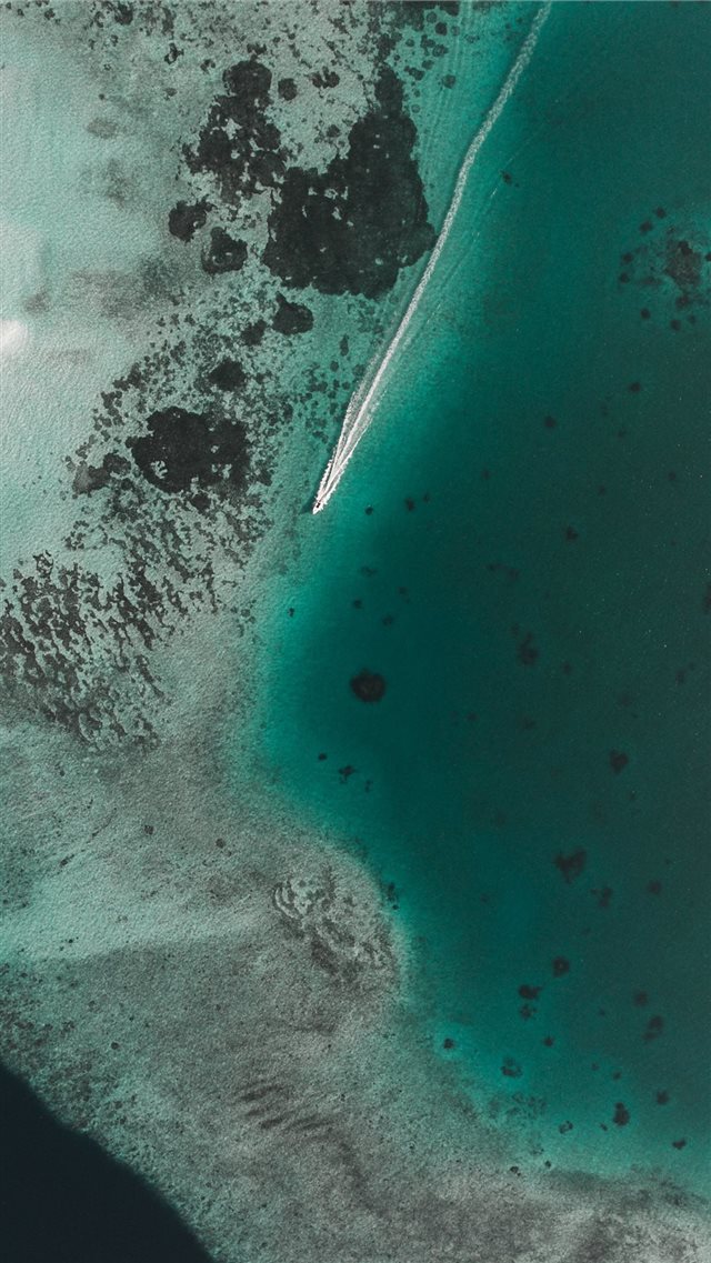 boat leaving white propeller wash in clear green s... iPhone 8 wallpaper 