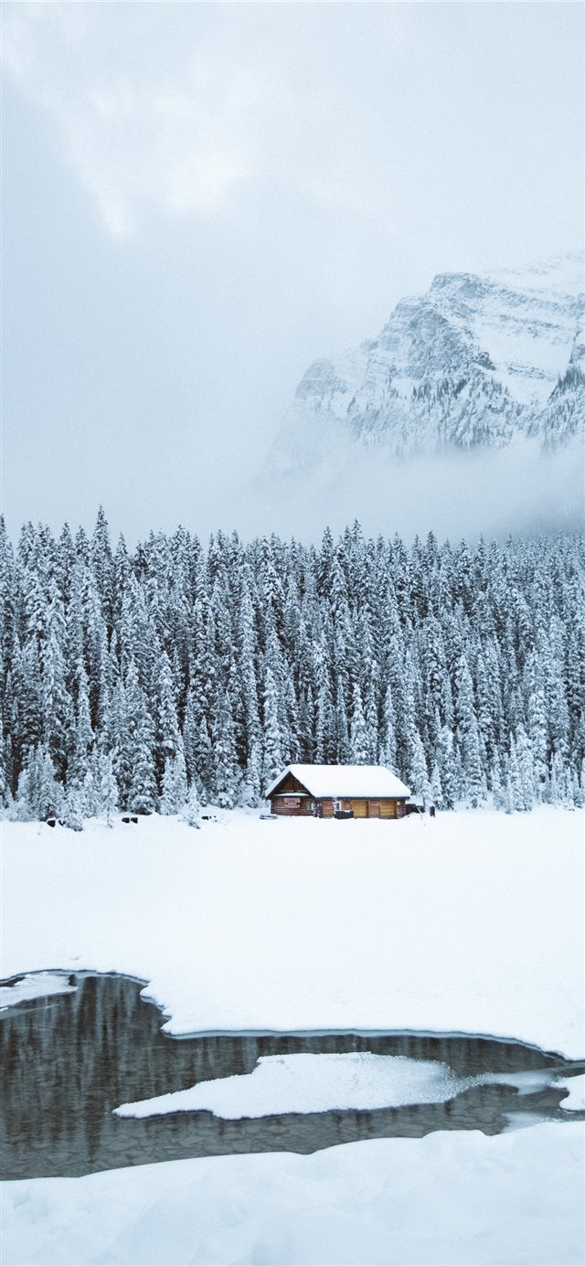 brown shack beside forest during snow iPhone X wallpaper 