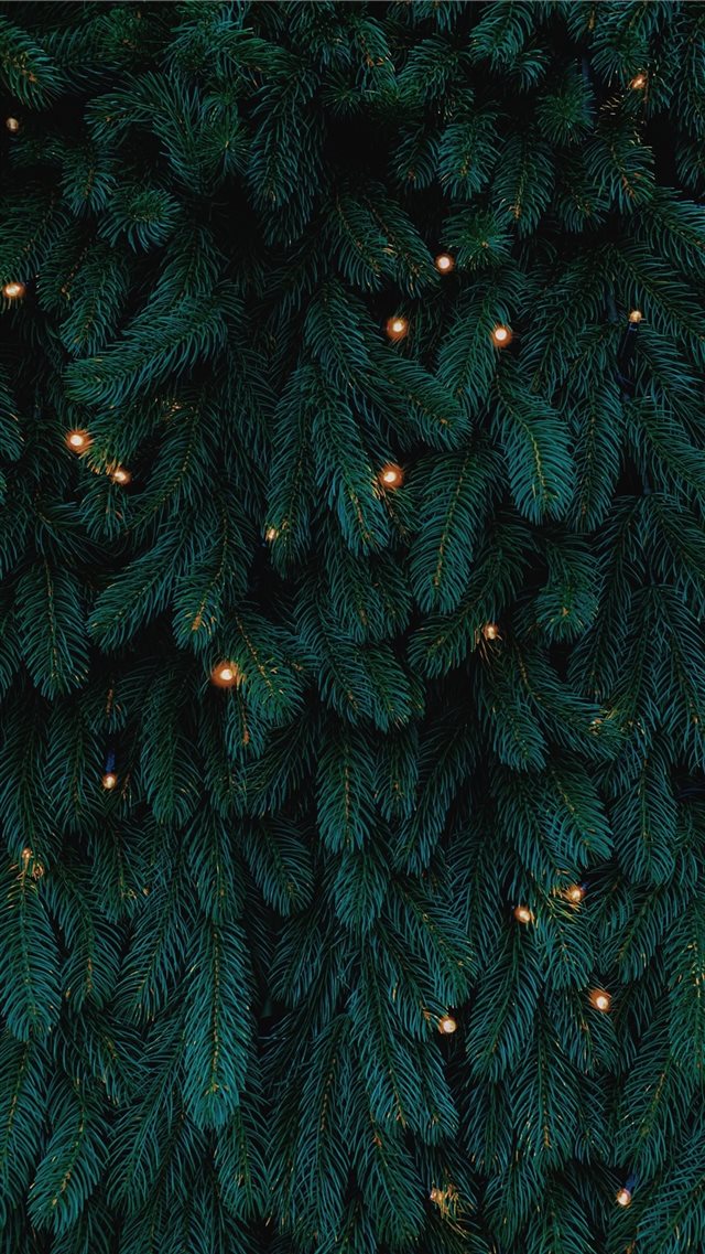 green Christmas tree with lights iPhone 8 wallpaper 