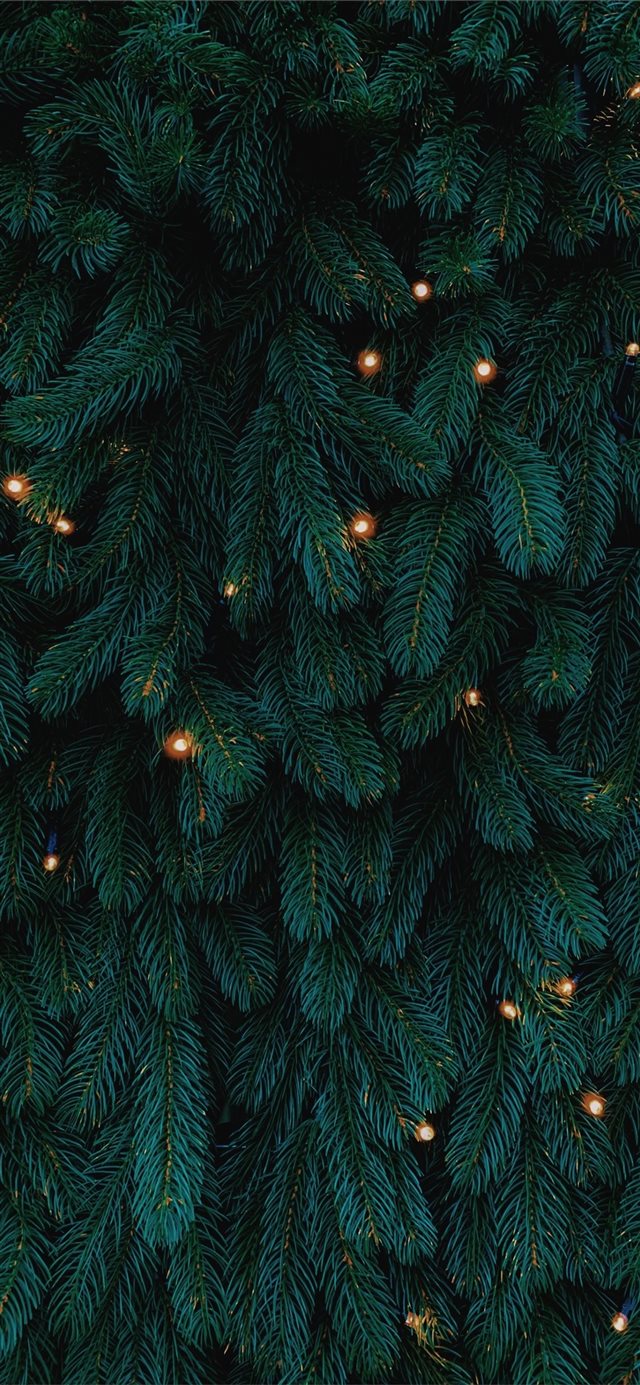 green Christmas tree with lights iPhone X wallpaper 