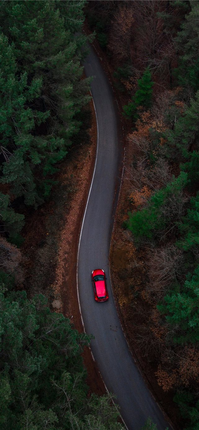 aerial photo of red car passing by green trees iPhone X wallpaper 