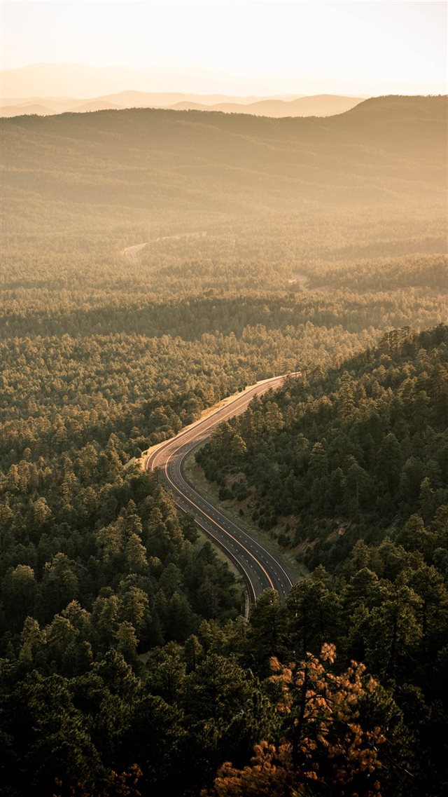 aerial view of green trees during daytime iPhone 8 wallpaper 