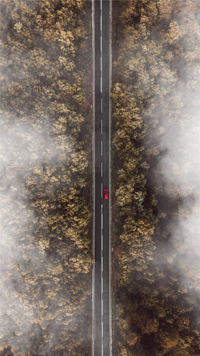 bird's eye view photo of road besides forest iPhone 8 wallpaper 