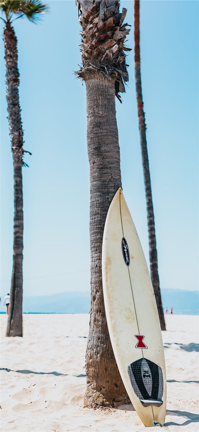 white and black surfboard leaning on gray Mexican ... iPhone X wallpaper 