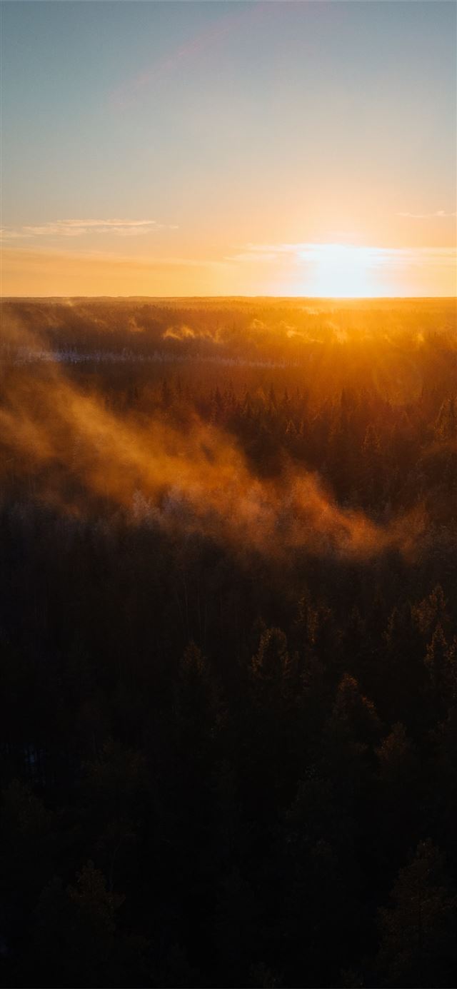 aerial view of trees during sunrise iPhone X wallpaper 