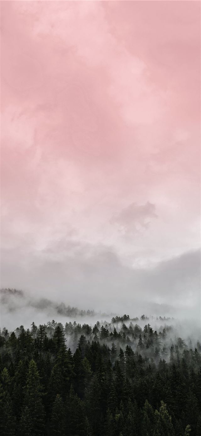 green trees under white clouds during daytime iPhone X wallpaper 